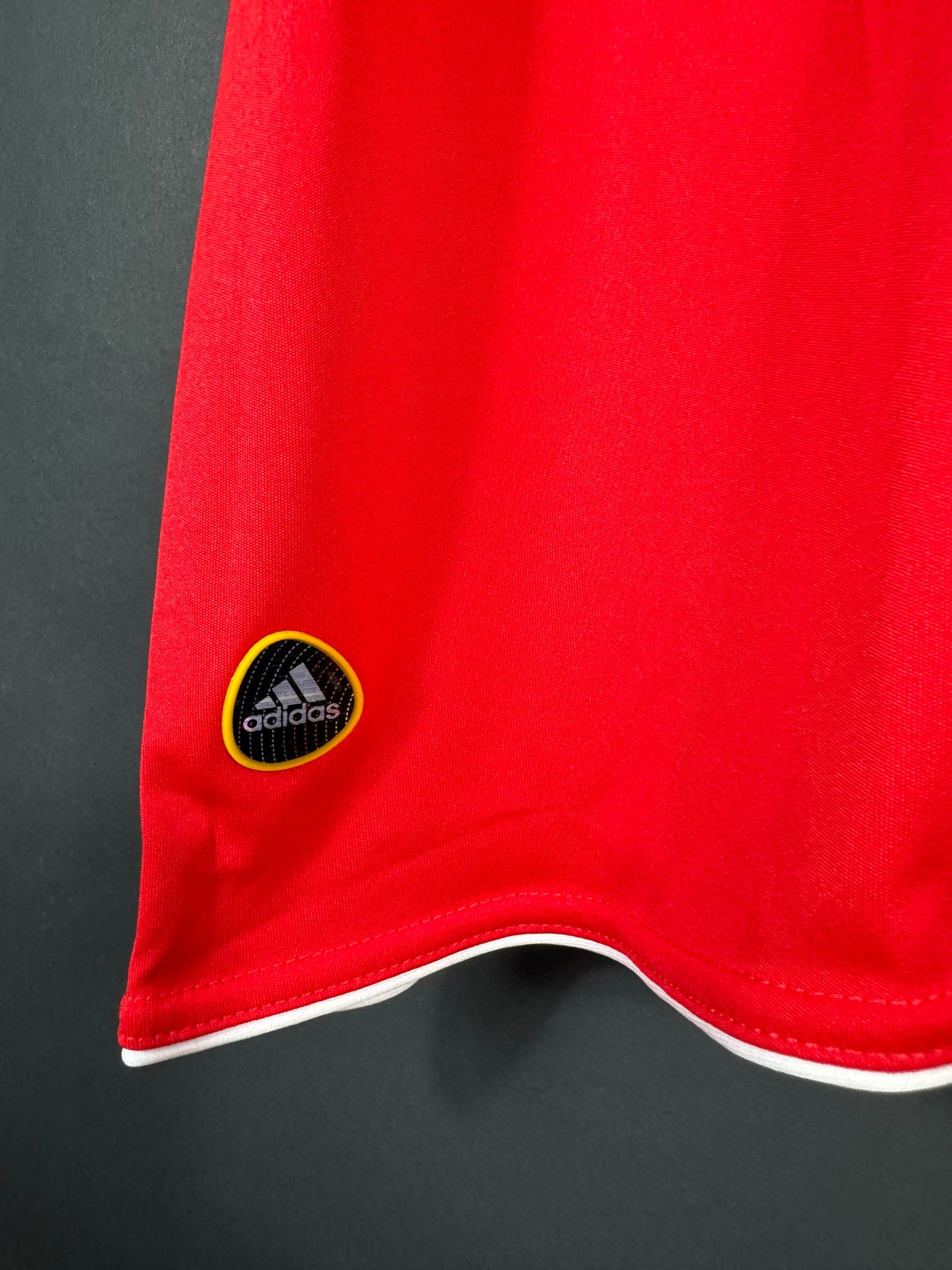 Benfica Lissabon Heim 10/11 L