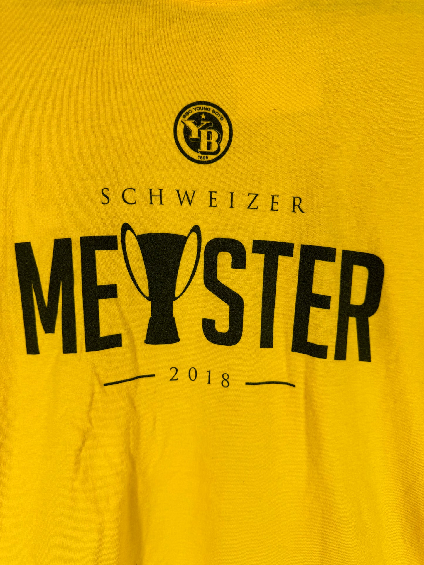 BSC Young Boys Meister Shirt 2018 XL